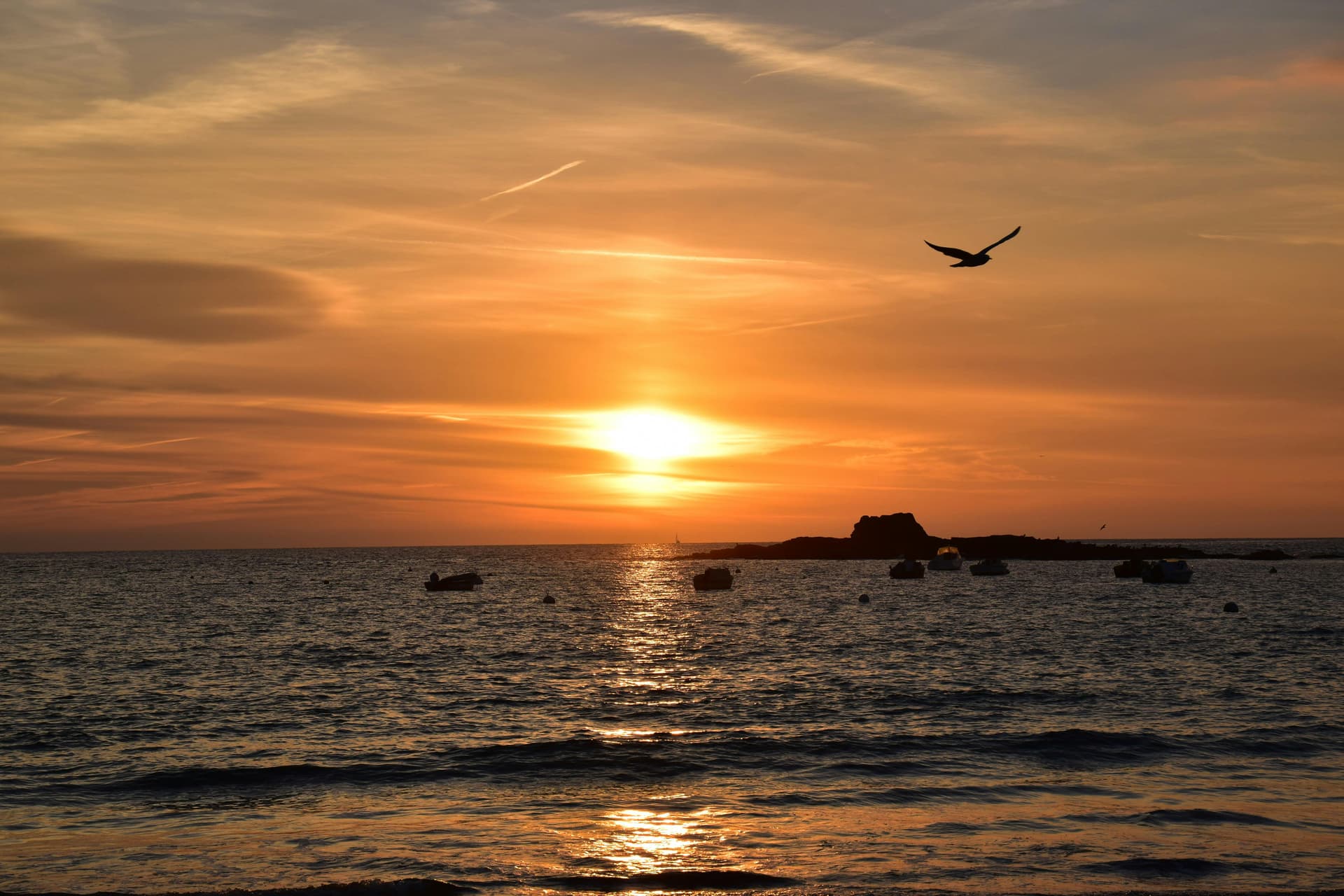 Immobilier à Ploemeur : un cadre de vie entre ville, nature et océan